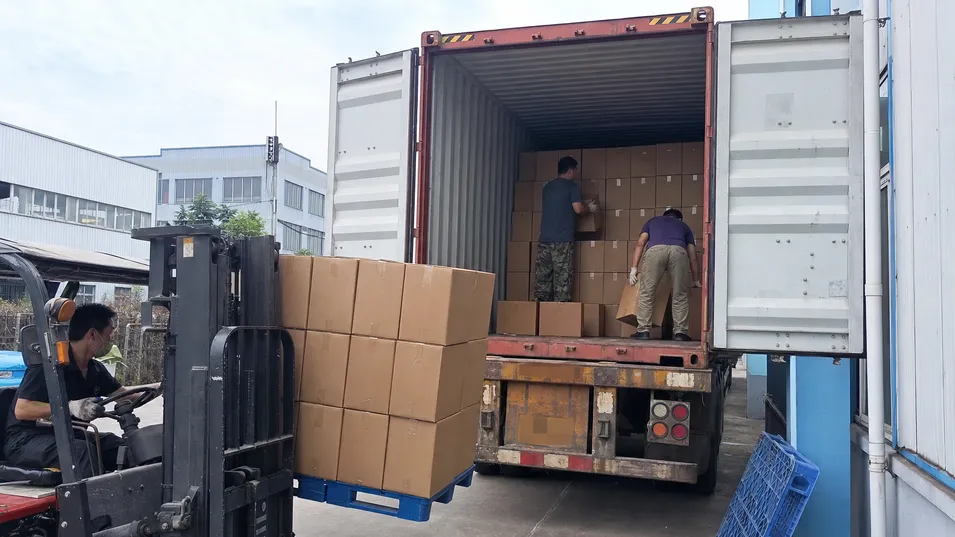 Dangerous goods export cartons for bear spray aerosol canisters being loaded into a 40HQ shipping container