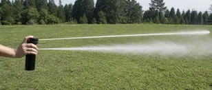 Bear spray stream pattern in field deployment — directional column delivery at range compared to cone dispersal