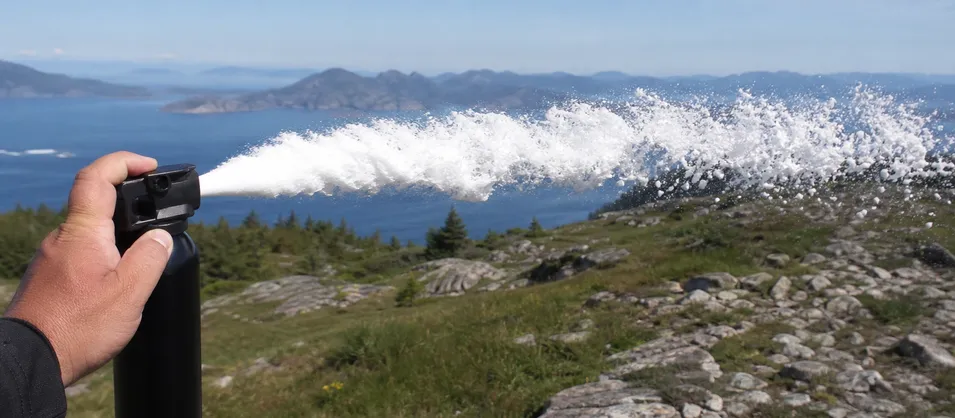 Bear Spray Foam — foam dispersal pattern for wind-exposed environments